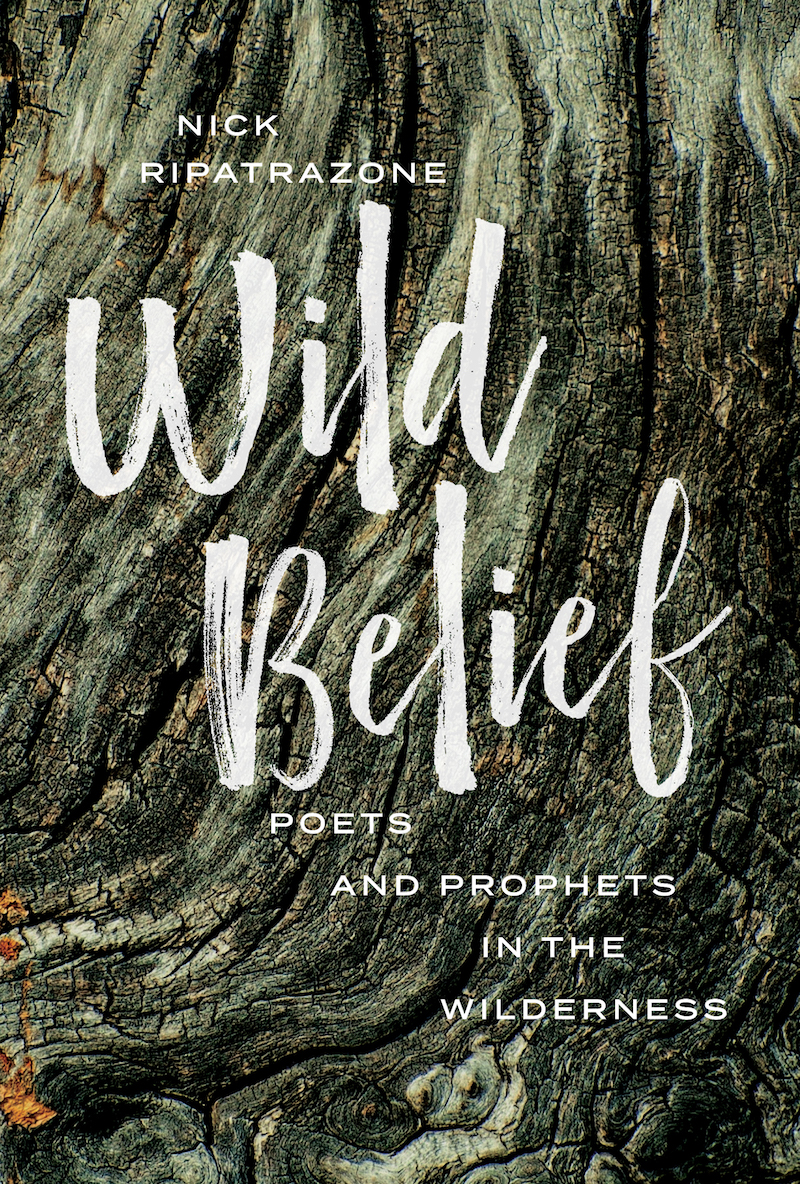 Wild Belief COVER 2