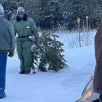 Tree cutting in Hardin